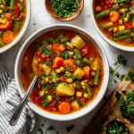 Vegetable Soup